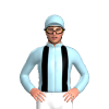 Jockey Silk