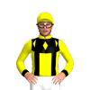Jockey Silk