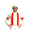 Jockey Silk