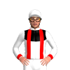 Jockey Silk