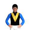 Jockey Silk