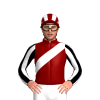 Jockey Silk