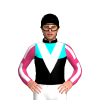 Jockey Silk