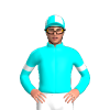 Jockey Silk