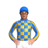 Jockey Silk