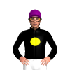 Jockey Silk