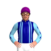 Jockey Silk