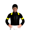 Jockey Silk