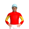 Jockey Silk