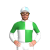 Jockey Silk