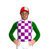 Jockey Silk
