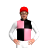 Jockey Silk