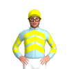 Jockey Silk