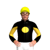 Jockey Silk