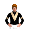 Jockey Silk