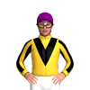 Jockey Silk