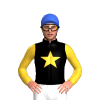 Jockey Silk