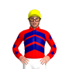 Jockey Silk