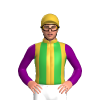 Jockey Silk