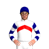Jockey Silk