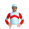 Jockey Silk