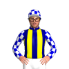 Jockey Silk