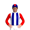 Jockey Silk