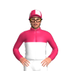 Jockey Silk