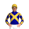 Jockey Silk
