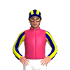 Jockey Silk