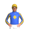 Jockey Silk