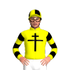 Jockey Silk