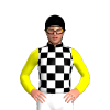 Jockey Silk
