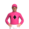 Jockey Silk