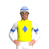 Jockey Silk