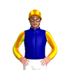 Jockey Silk