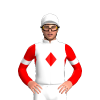 Jockey Silk