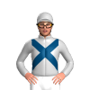 Jockey Silk