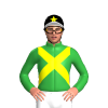 Jockey Silk