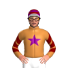 Jockey Silk
