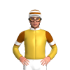 Jockey Silk