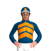 Jockey Silk