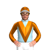 Jockey Silk