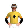 Jockey Silk