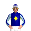 Jockey Silk