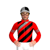 Jockey Silk