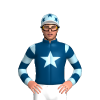 Jockey Silk