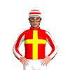 Jockey Silk