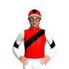 Jockey Silk
