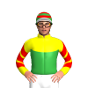 Jockey Silk